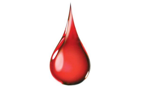 Doar sangue 1 1024 2500 1 600 380