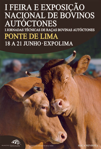 feira_bovinos