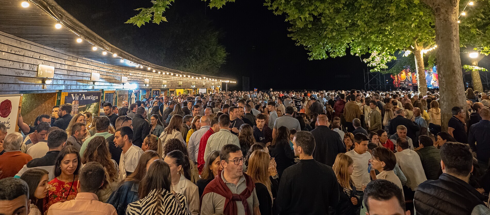 fundo-festa-vinho-verde